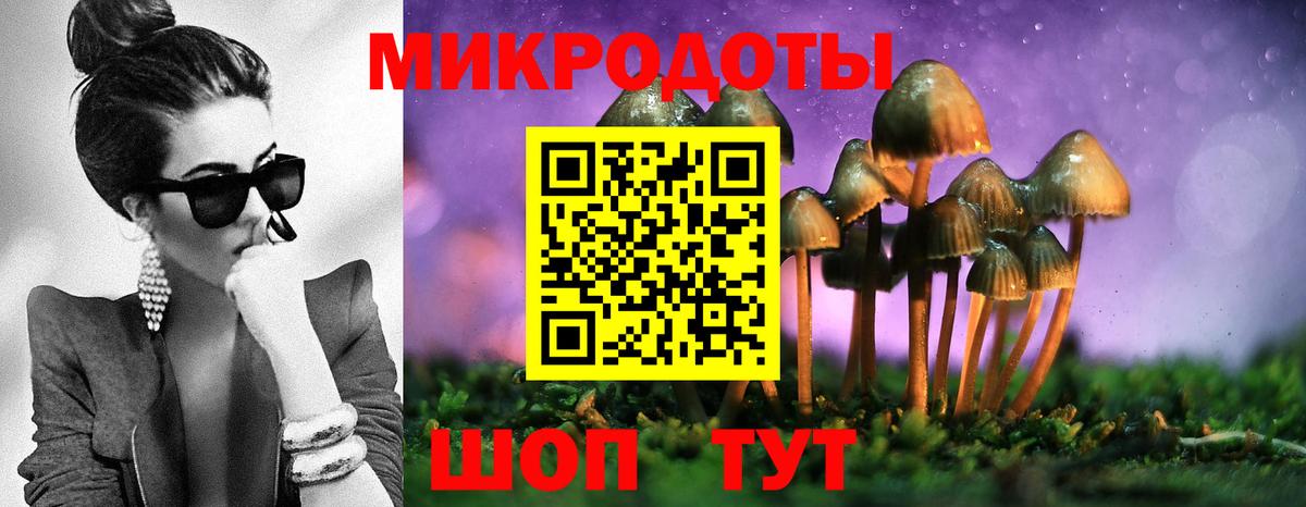 Псилоцибиновые грибы ЛСД Будённовск